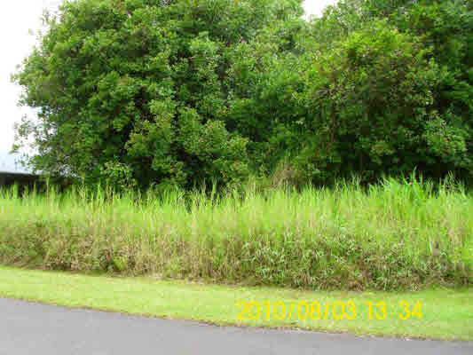 62 Ewalina Road Mountain View, HI 96771 - Photo 1 of 9 Gallery Image 1