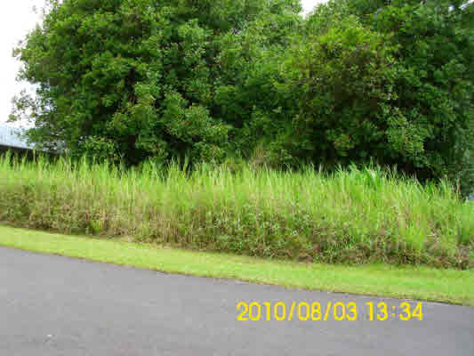 62 Ewalina Road Mountain View, HI 96771 - Photo 7 of 9 Gallery Image 7