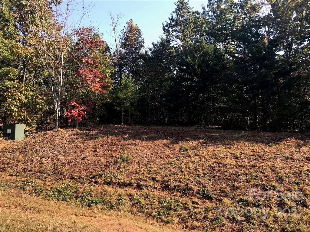 87 Cres Ridge Lane, Unit 408 Nebo, NC 28761 - Photo 3 of 12 Gallery Image 3