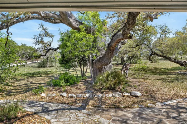 a view of a yard