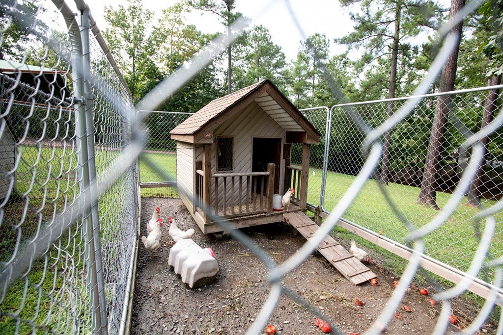 2621 Gully Tavern Road Rice, VA 23966 - Photo 60 of 74 Gallery Image 60