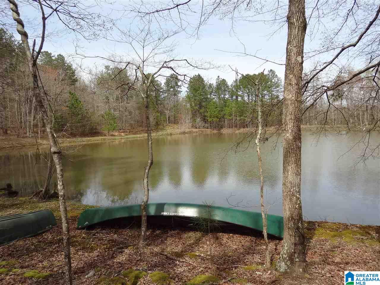 988 Sycamore Road Columbiana, AL 35051 - Photo 3 of 47