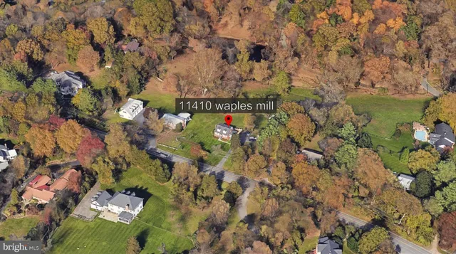 a view of a tree with a yard