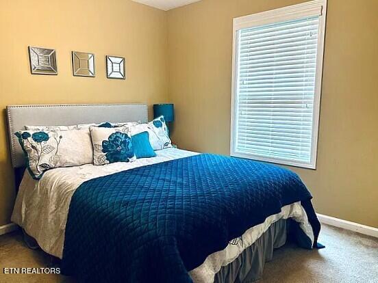 11729 Edison Road Knoxville, TN 37932 - Photo 13 of 21 13