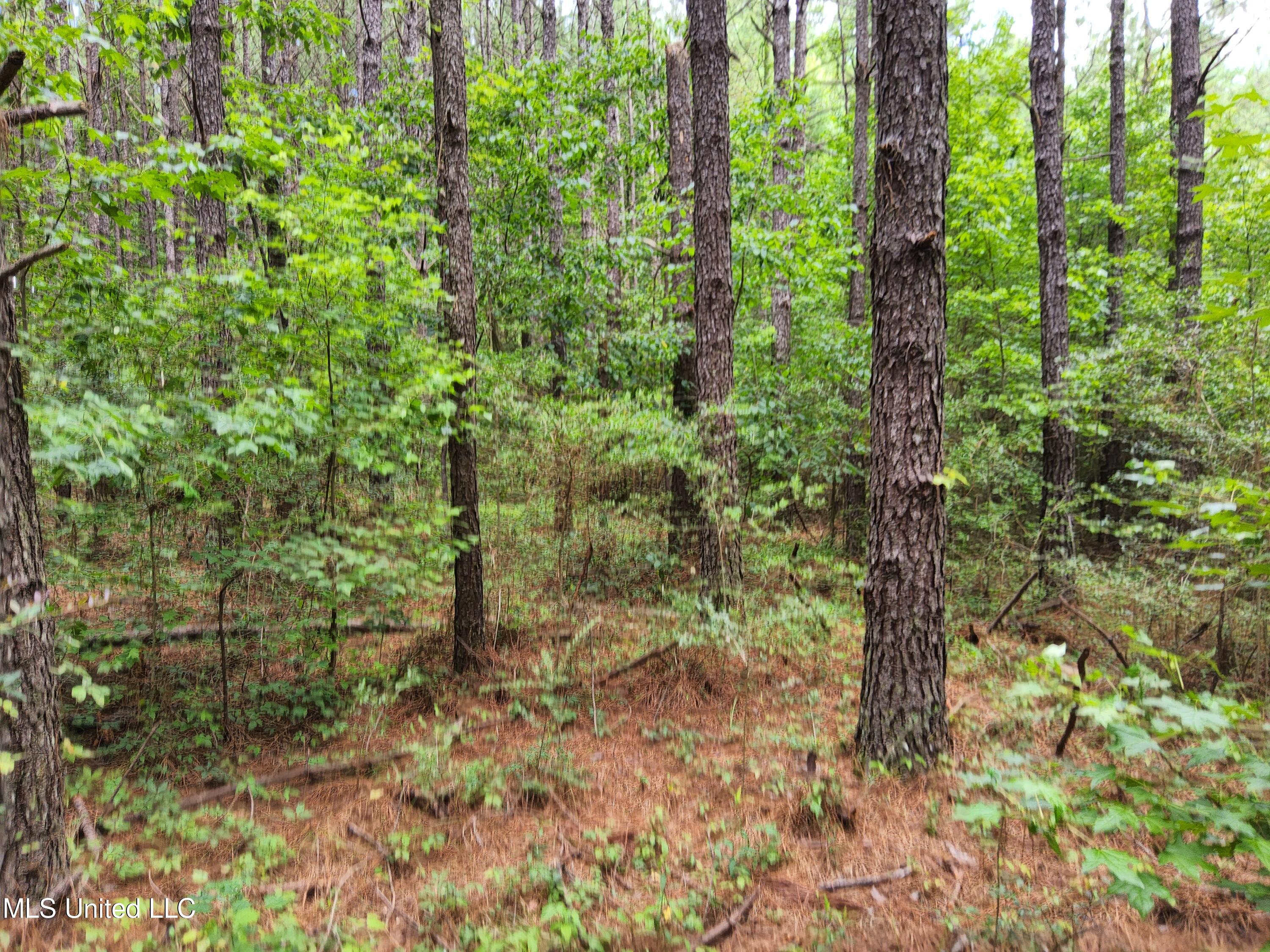 Old Hebron Road Road Newhebron, MS 39140 - Photo 2 of 10 20230710_122613