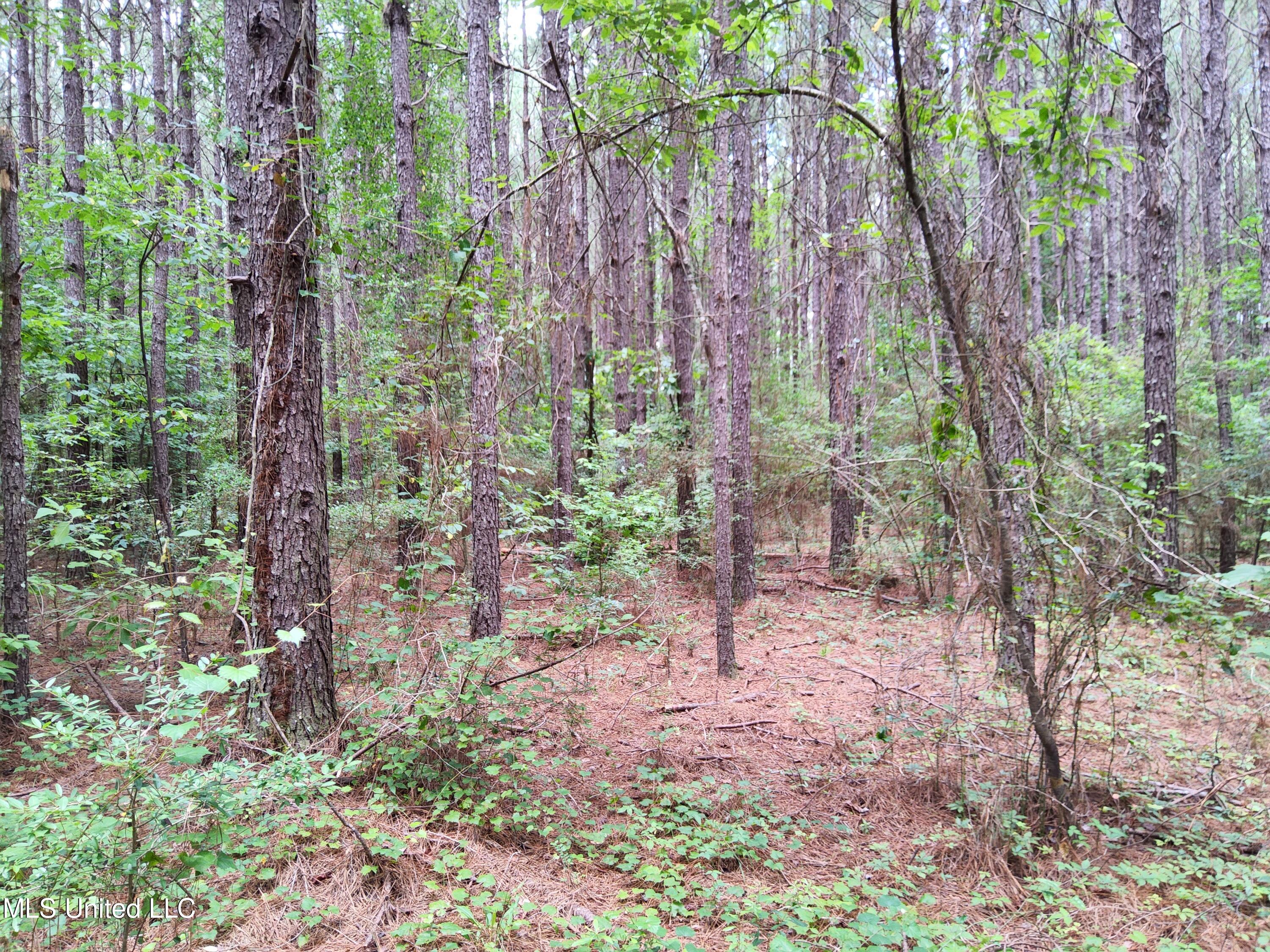 Old Hebron Road Road Newhebron, MS 39140 - Photo 3 of 10 20230710_122625