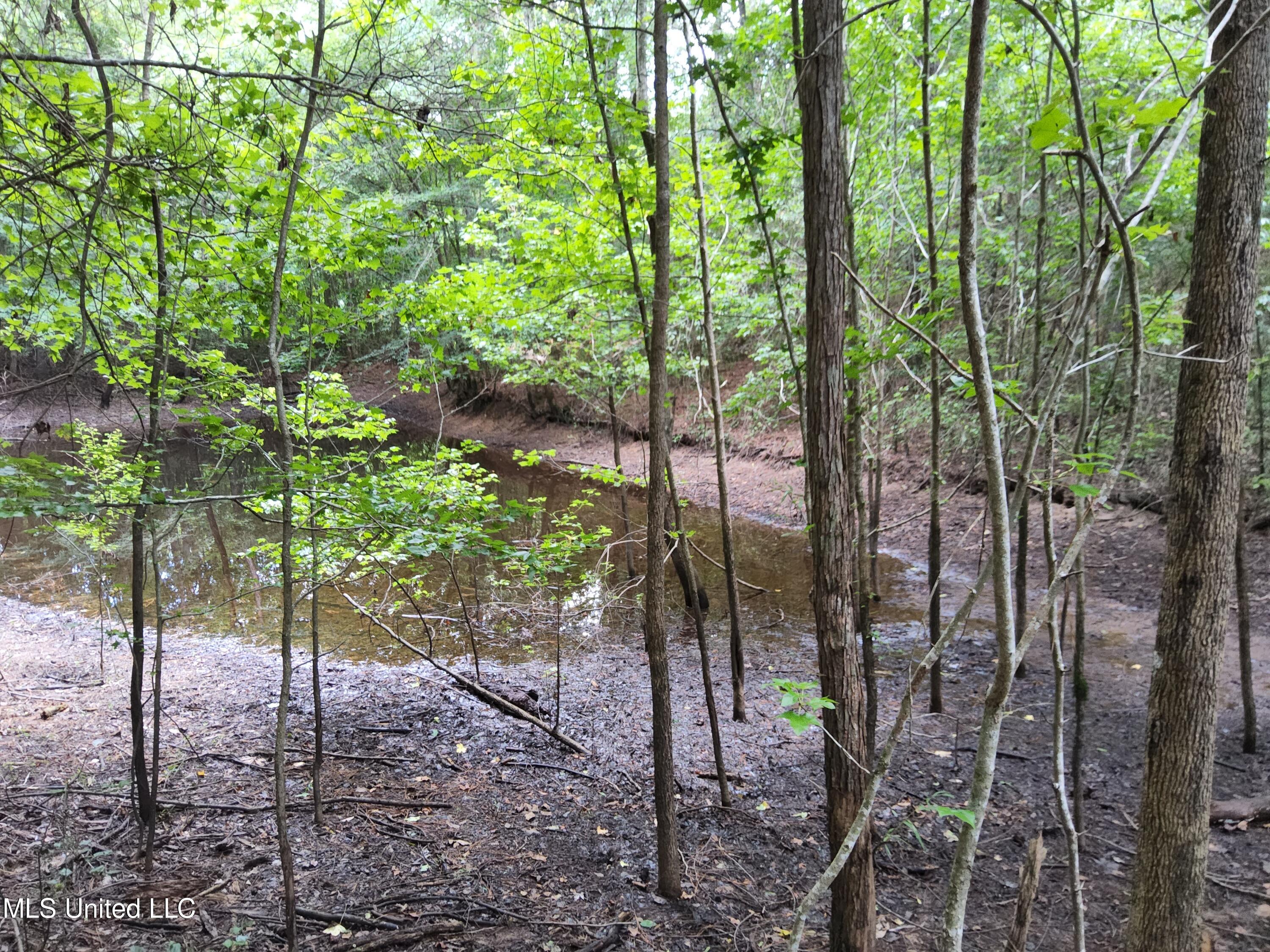Old Hebron Road Road Newhebron, MS 39140 - Photo 5 of 10 20230710_123610