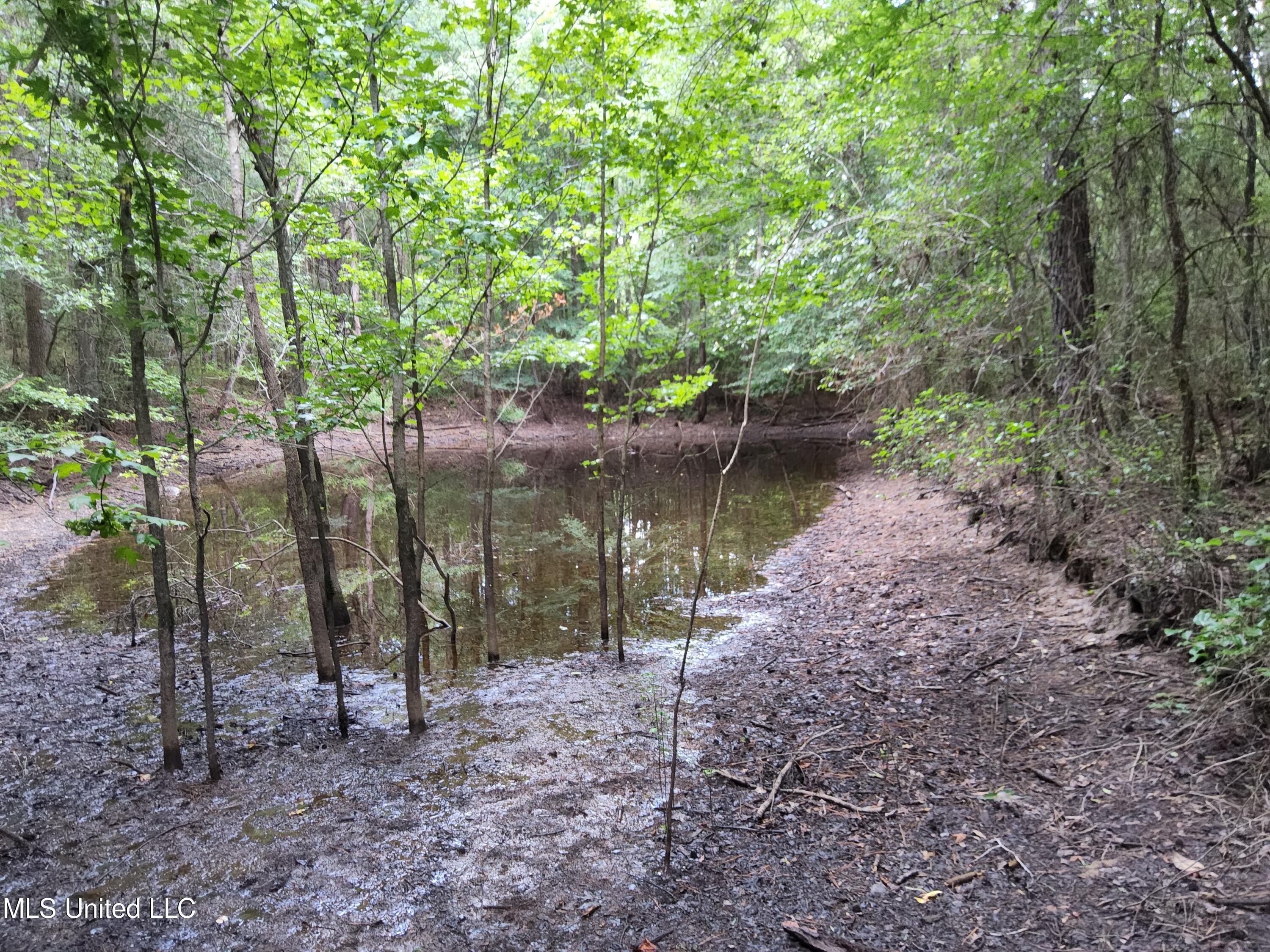 Old Hebron Road Road Newhebron, MS 39140 - Photo 6 of 10 20230710_123650