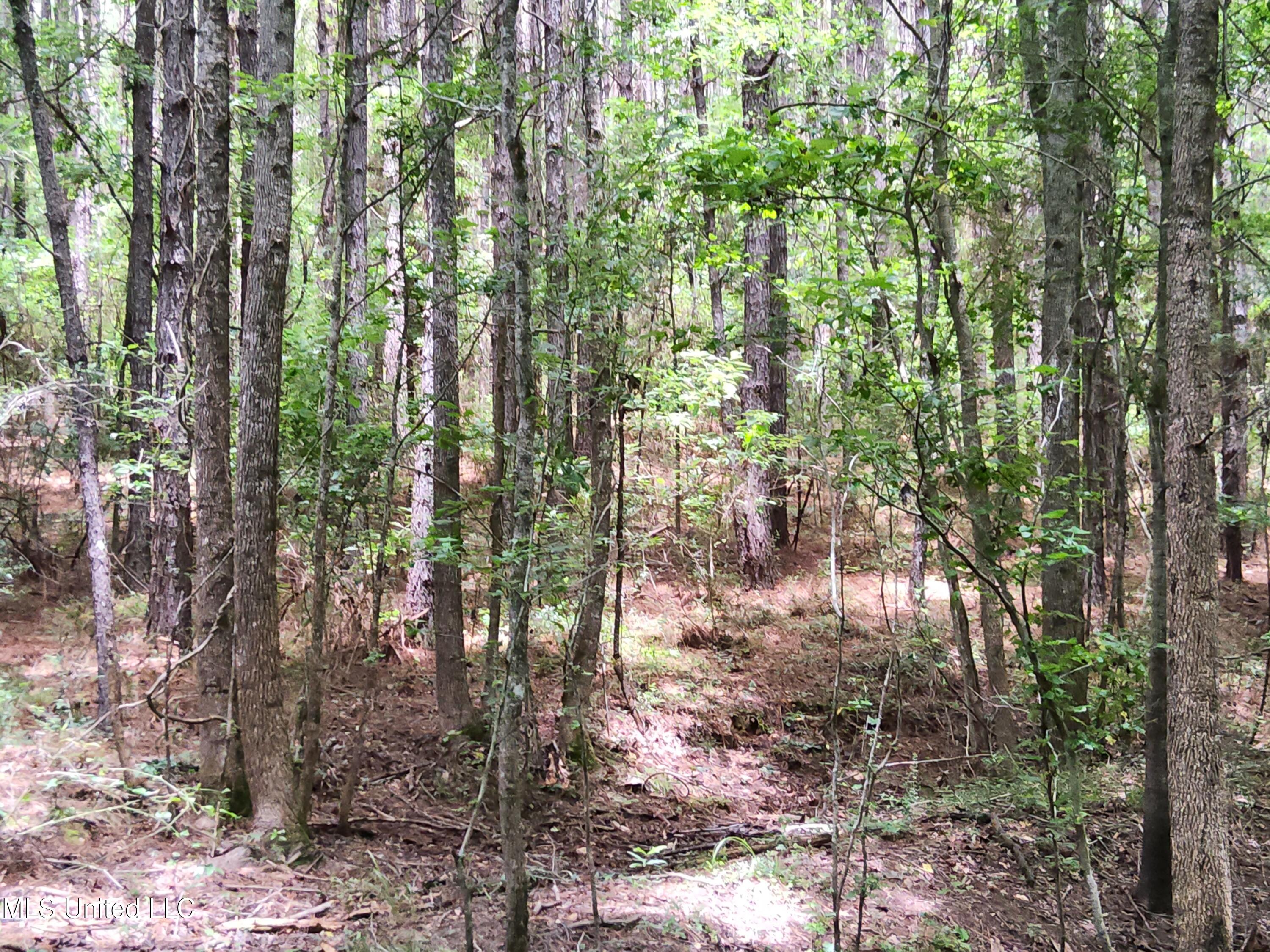 Old Hebron Road Road Newhebron, MS 39140 - Photo 7 of 10 20230710_123908