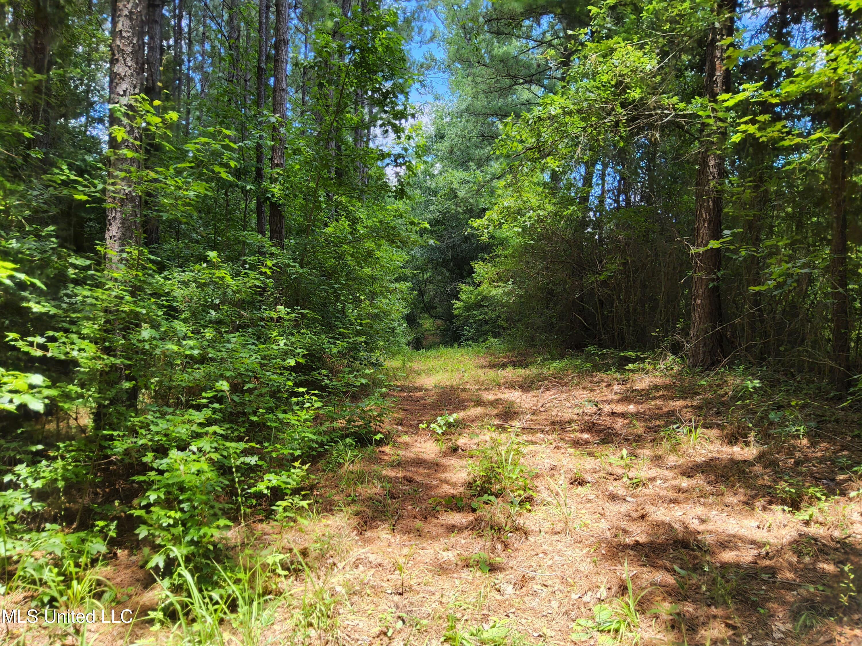 Old Hebron Road Road Newhebron, MS 39140 - Photo 10 of 10 20230710_131801
