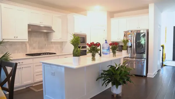 a kitchen with stainless steel appliances a sink and a potted plant
