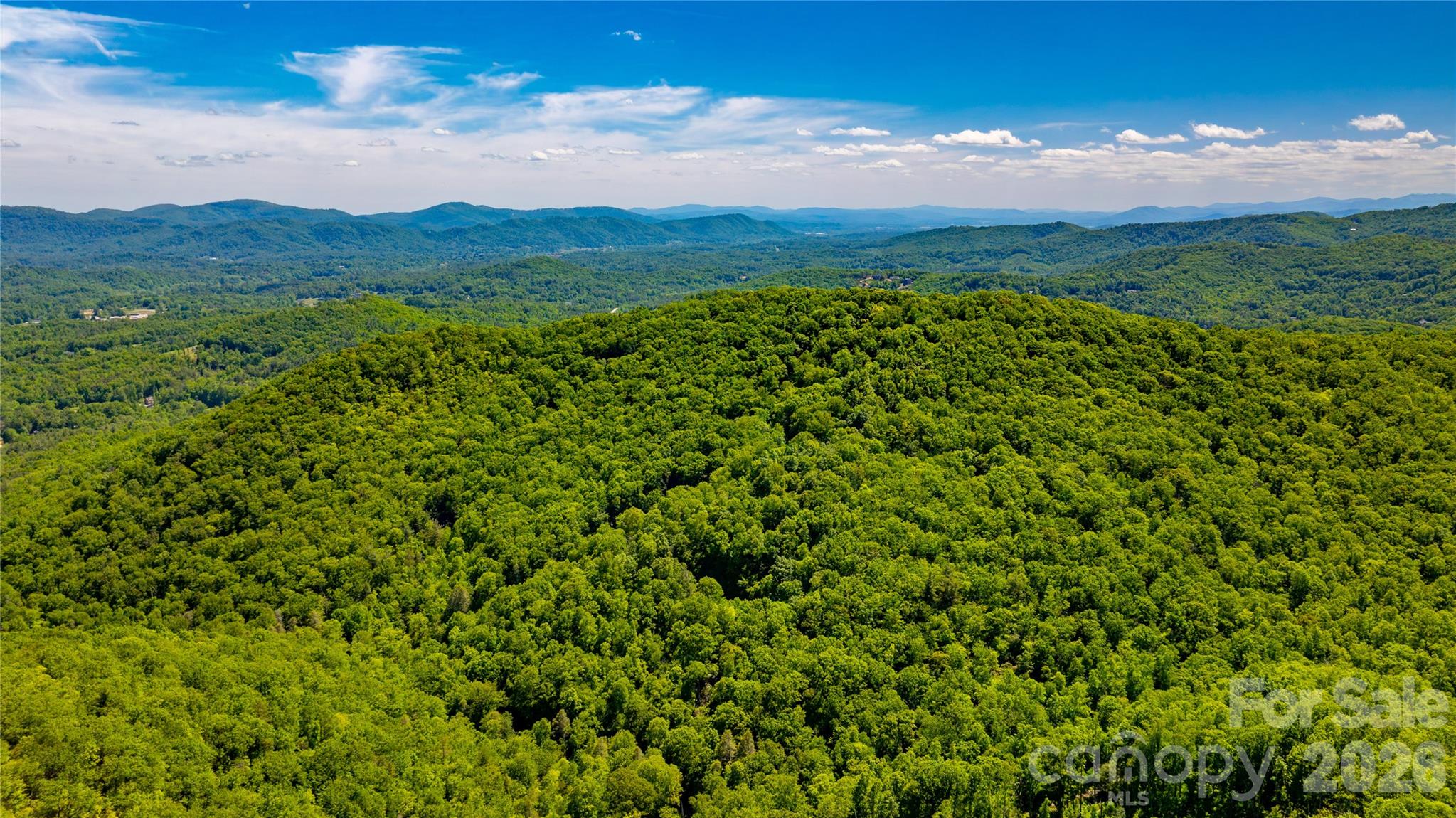214 Ballard Creek Road Fairview, NC 28730 - Photo 13 of 18 a view of a lush green hillside and a houses