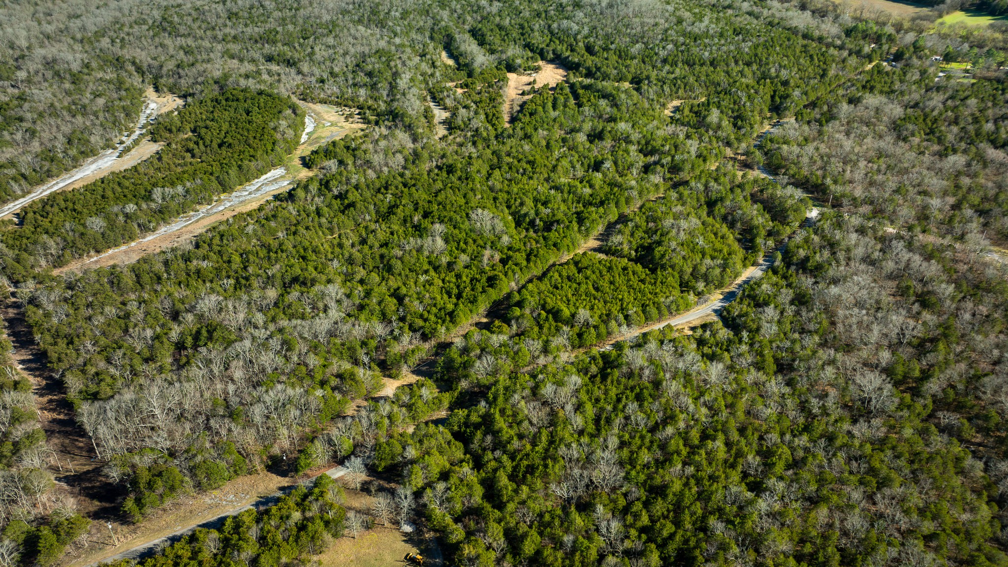 0 Mahaley Road Chapel Hill, TN 37034 - Photo 11 of 15 a view of a green field