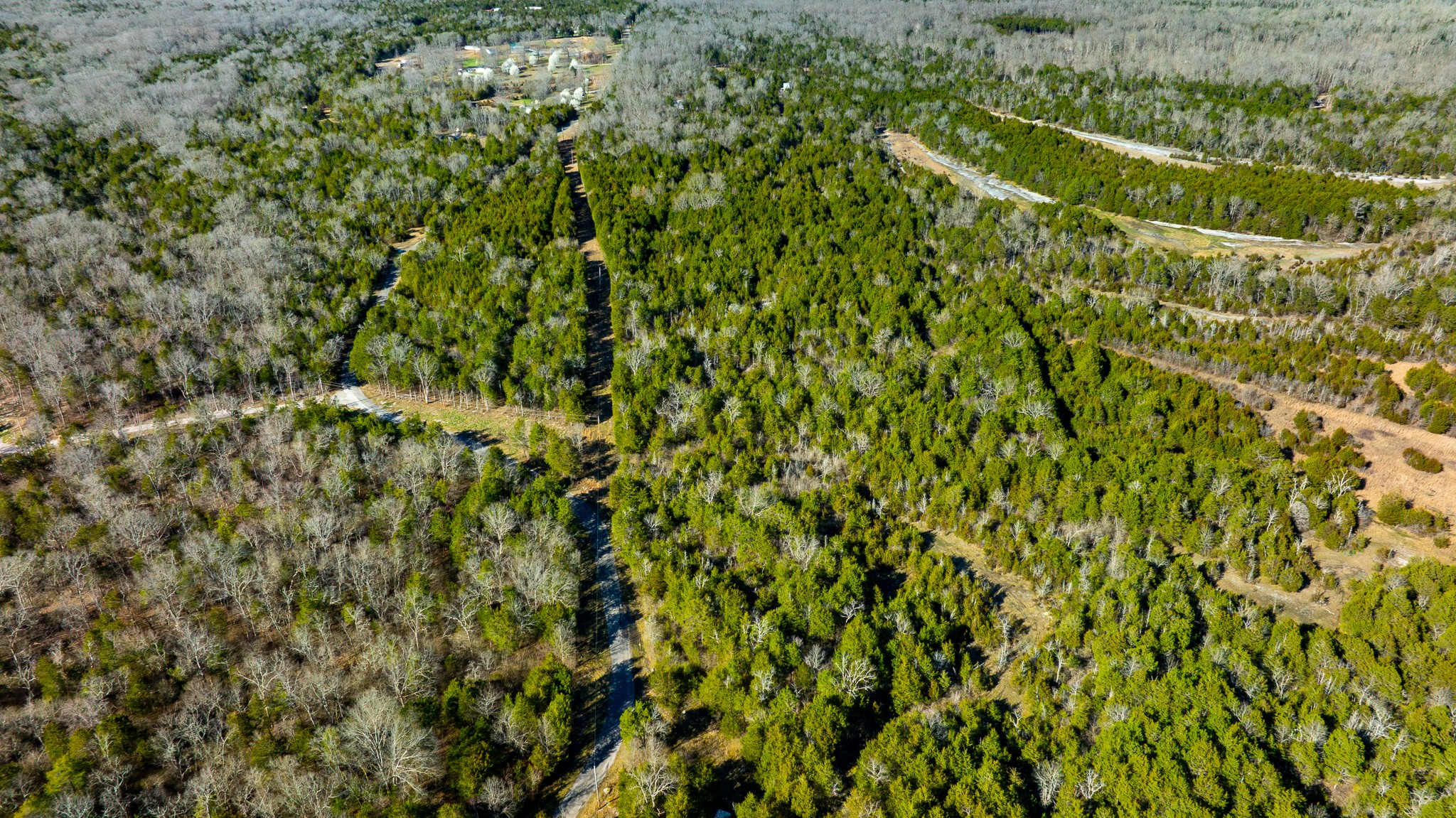 0 Mahaley Road Chapel Hill, TN 37034 - Photo 2 of 15 a view of a lush green field