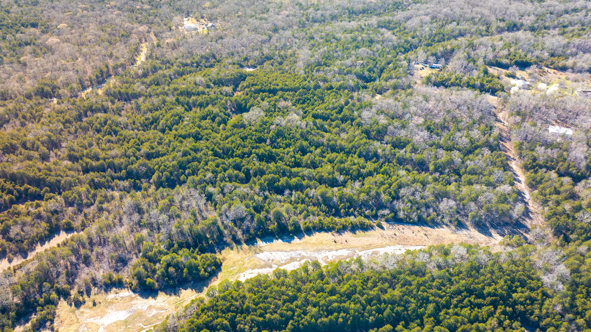 0 Mahaley Road Chapel Hill, TN 37034 - Photo 6 of 15 a view of a yard with a tree