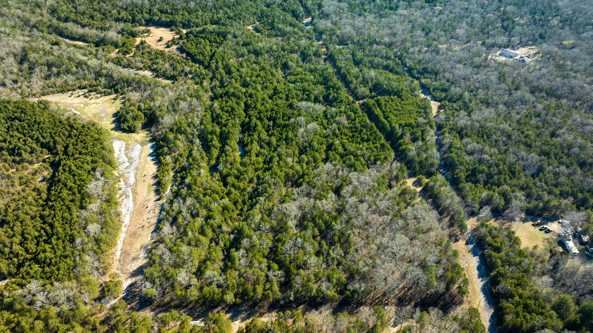 0 Mahaley Road Chapel Hill, TN 37034 - Photo 10 of 15 a view of a lush green forest with lots of trees