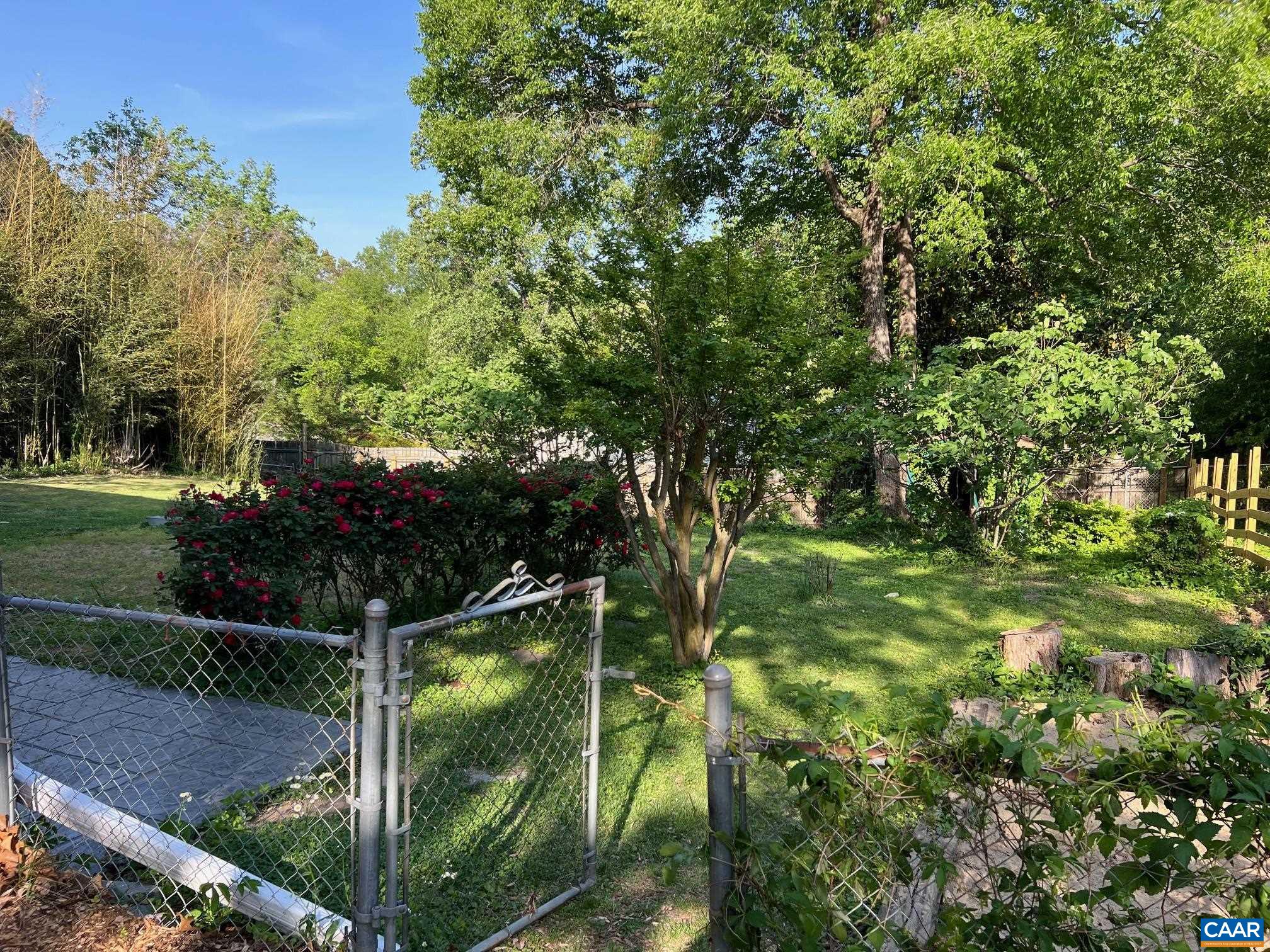 206 Georgetown Road Charlottesville, VA 22901 - Photo 3 of 35 a view of a yard