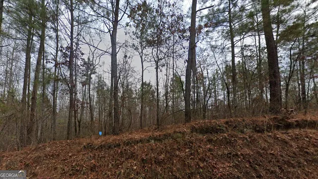 $41,999 | 7720 Tyree Road, Winston, GA 30187