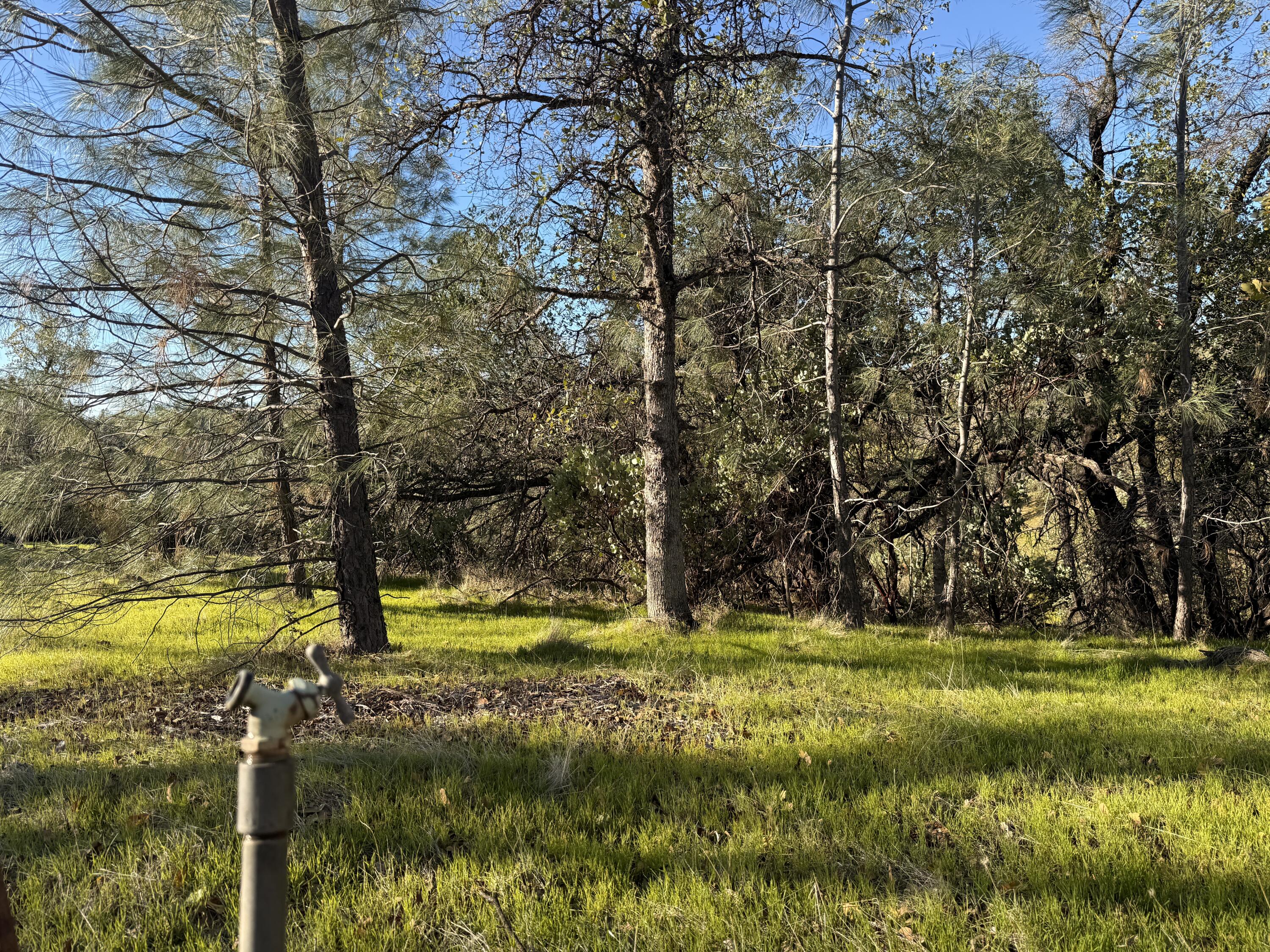 Placer Road Redding, CA 96001 - Photo 20 of 22 a view of swimming pool with yard