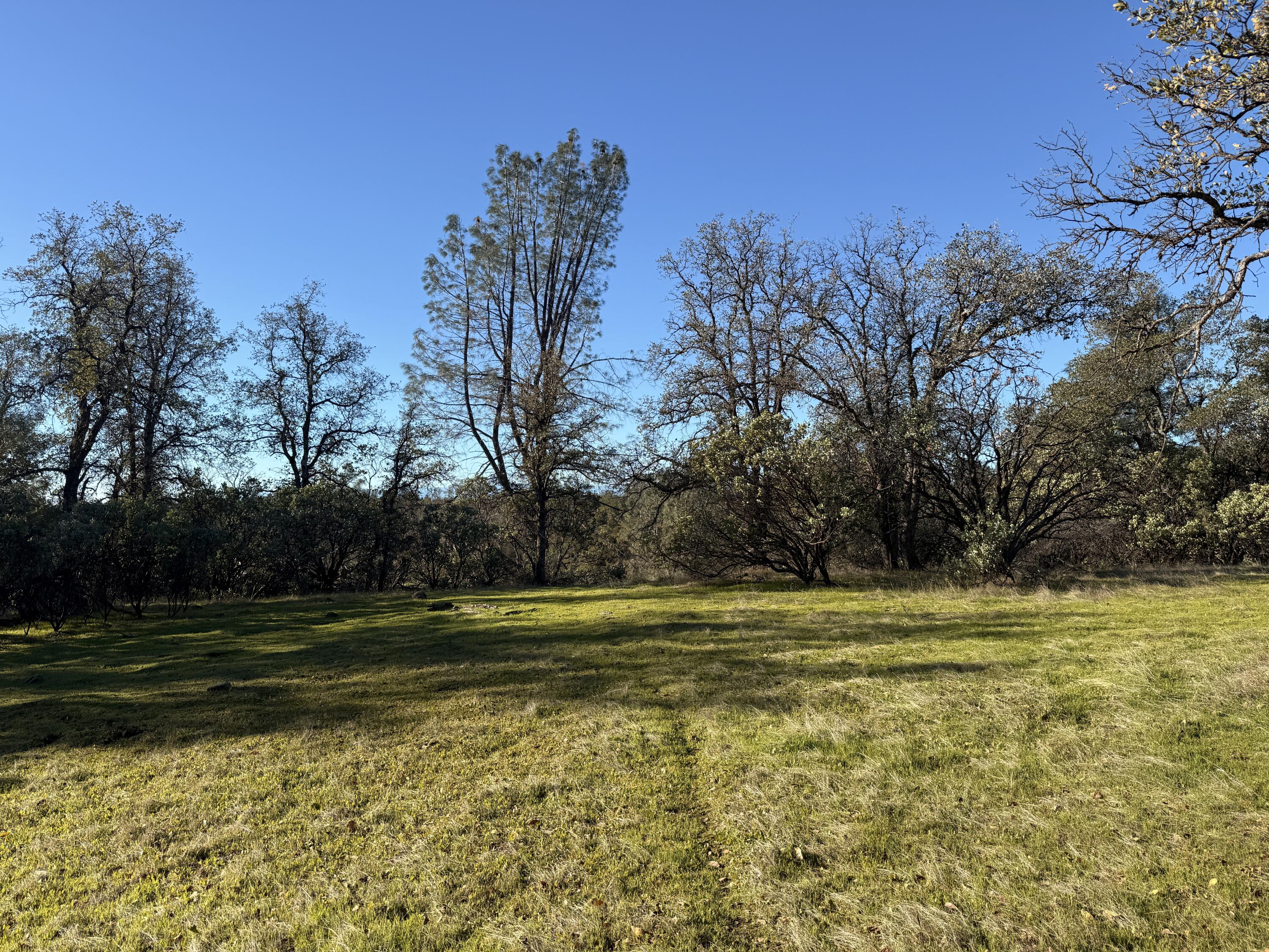 Placer Road Redding, CA 96001 - Photo 21 of 22 a view of a water fountain in the middle of a yard