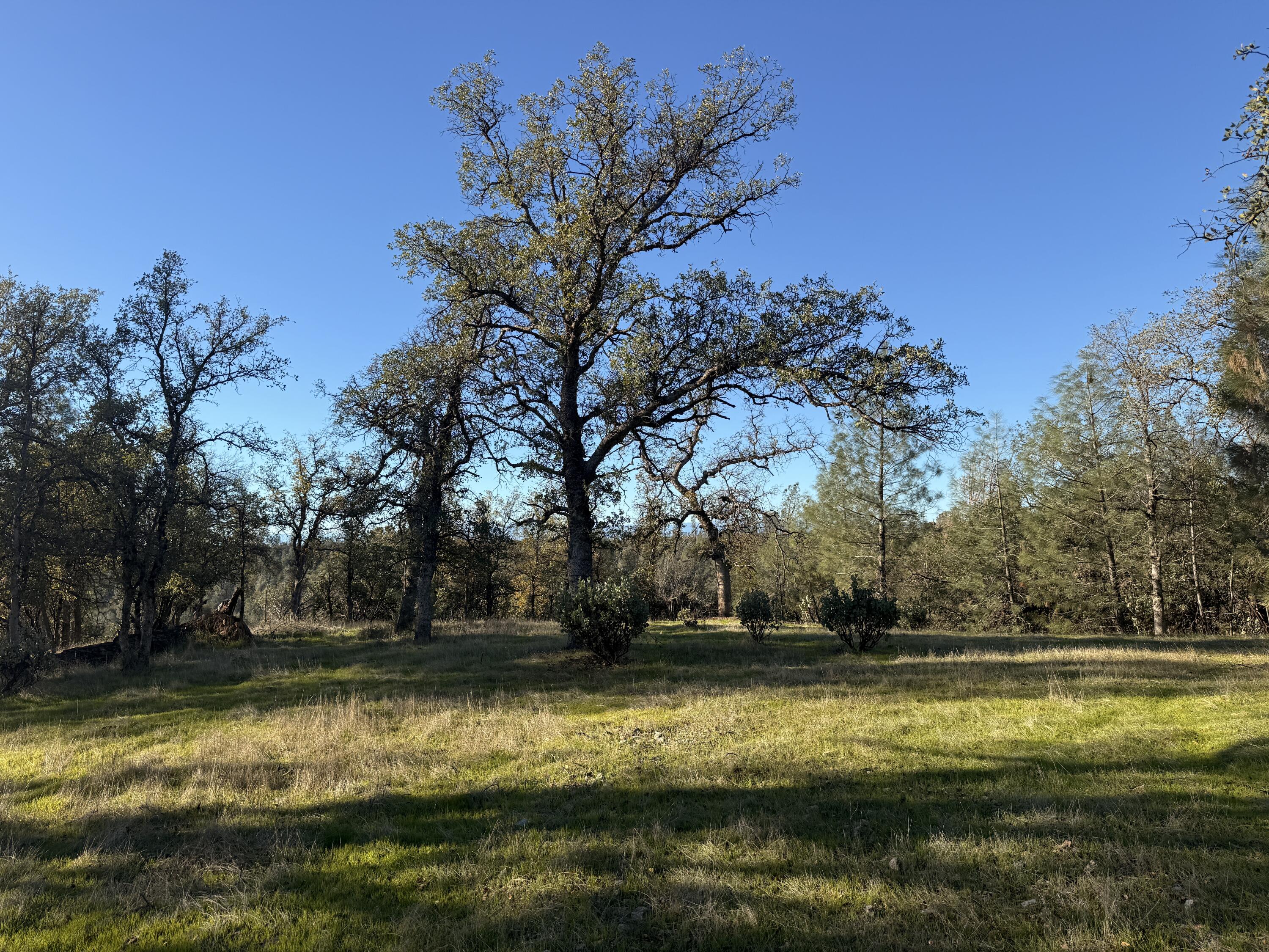 Placer Road Redding, CA 96001 - Photo 6 of 22 a view of a swimming pool with a house