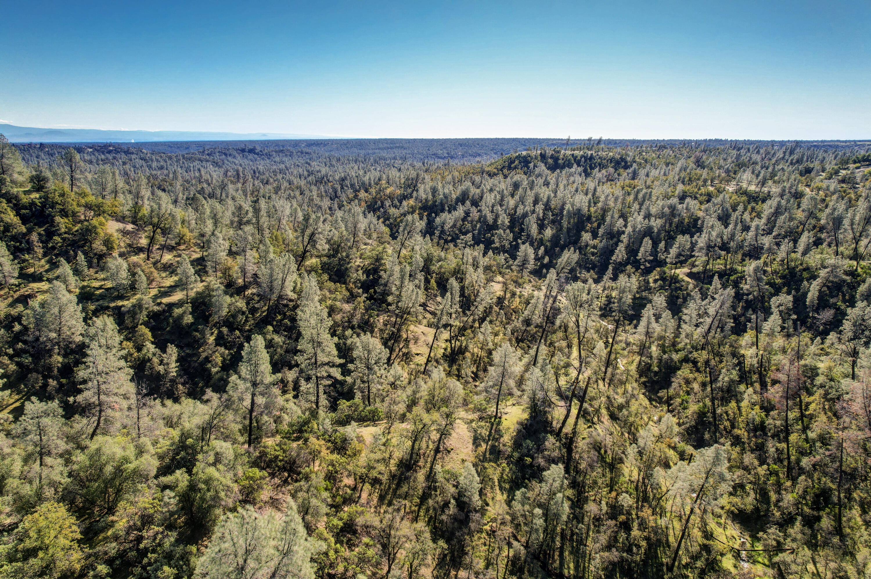 Placer Road Redding, CA 96001 - Photo 10 of 22 a view of a yard