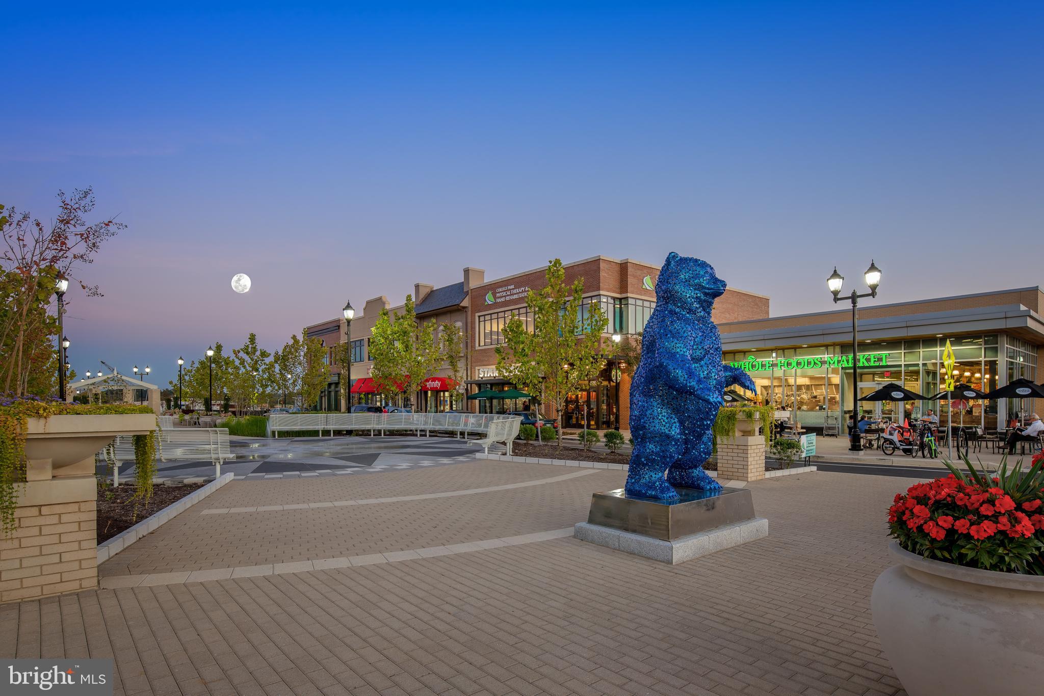 6732 Belcrest Road Hyattsville, MD 20782 - Photo 22 of 34