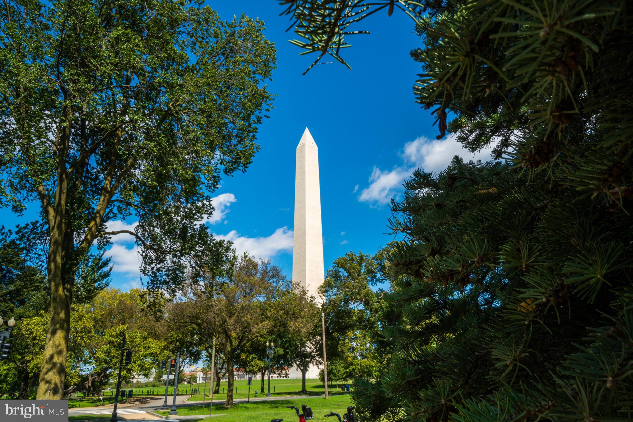 6732 Belcrest Road Hyattsville, MD 20782 - Photo 32 of 34