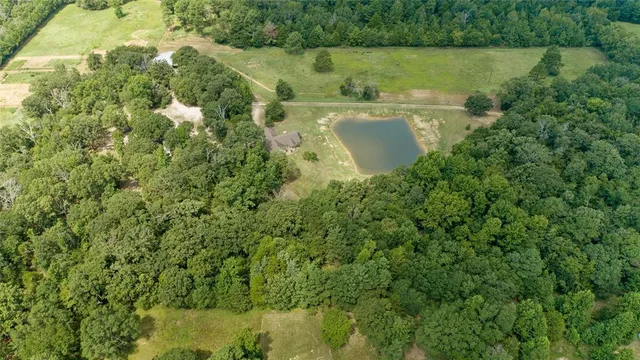a view of a lake in a yard