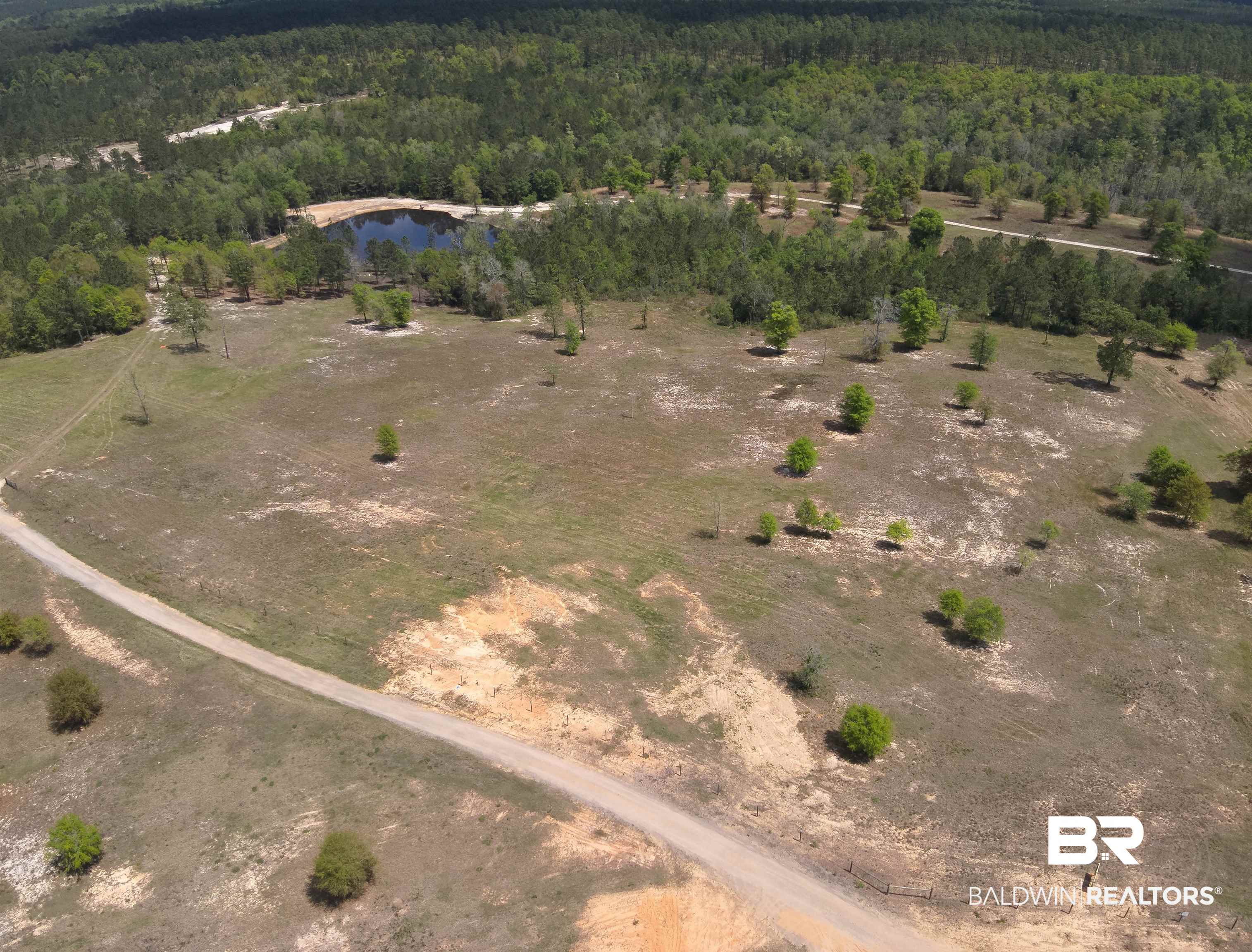 0 Powell Road Eight Mile, AL 36613 - Photo 9 of 57