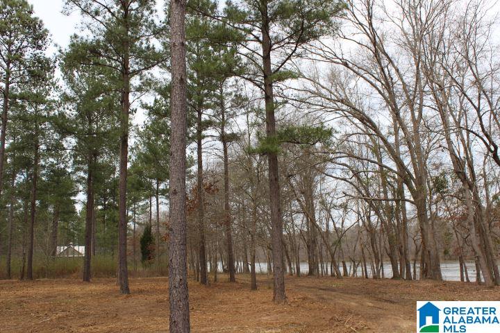Liberty Shores Boulevard Vincent, AL 35178 - Photo 9 of 11