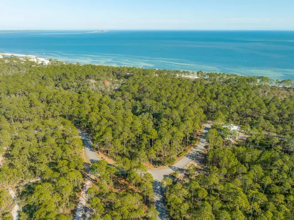 $68,000 | 173 Lighting Bug Lane, Sopchoppy, FL 32358