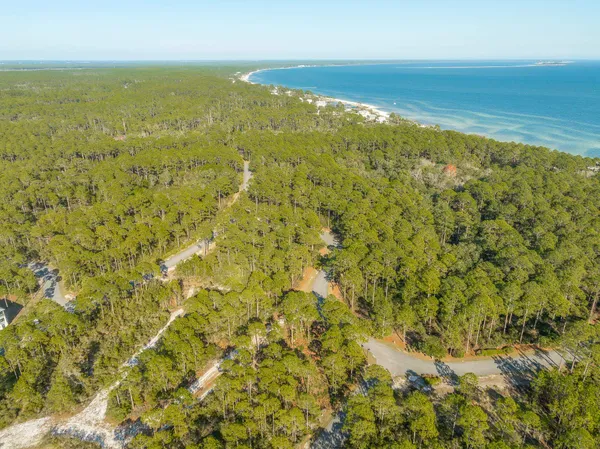 $68,000 | 173 Lighting Bug Lane, Sopchoppy, FL 32358