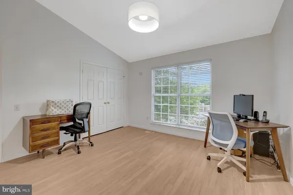 a view of a backyard with large trees