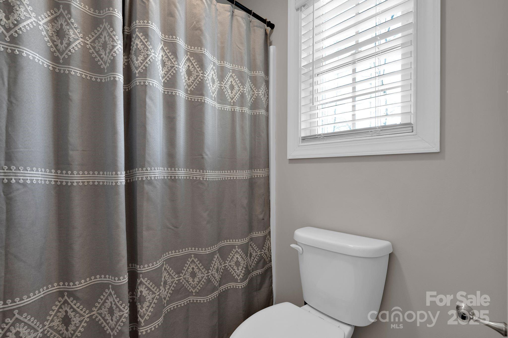 481 Evergreen Road Lake Wylie, SC 29710 - Photo 32 of 45