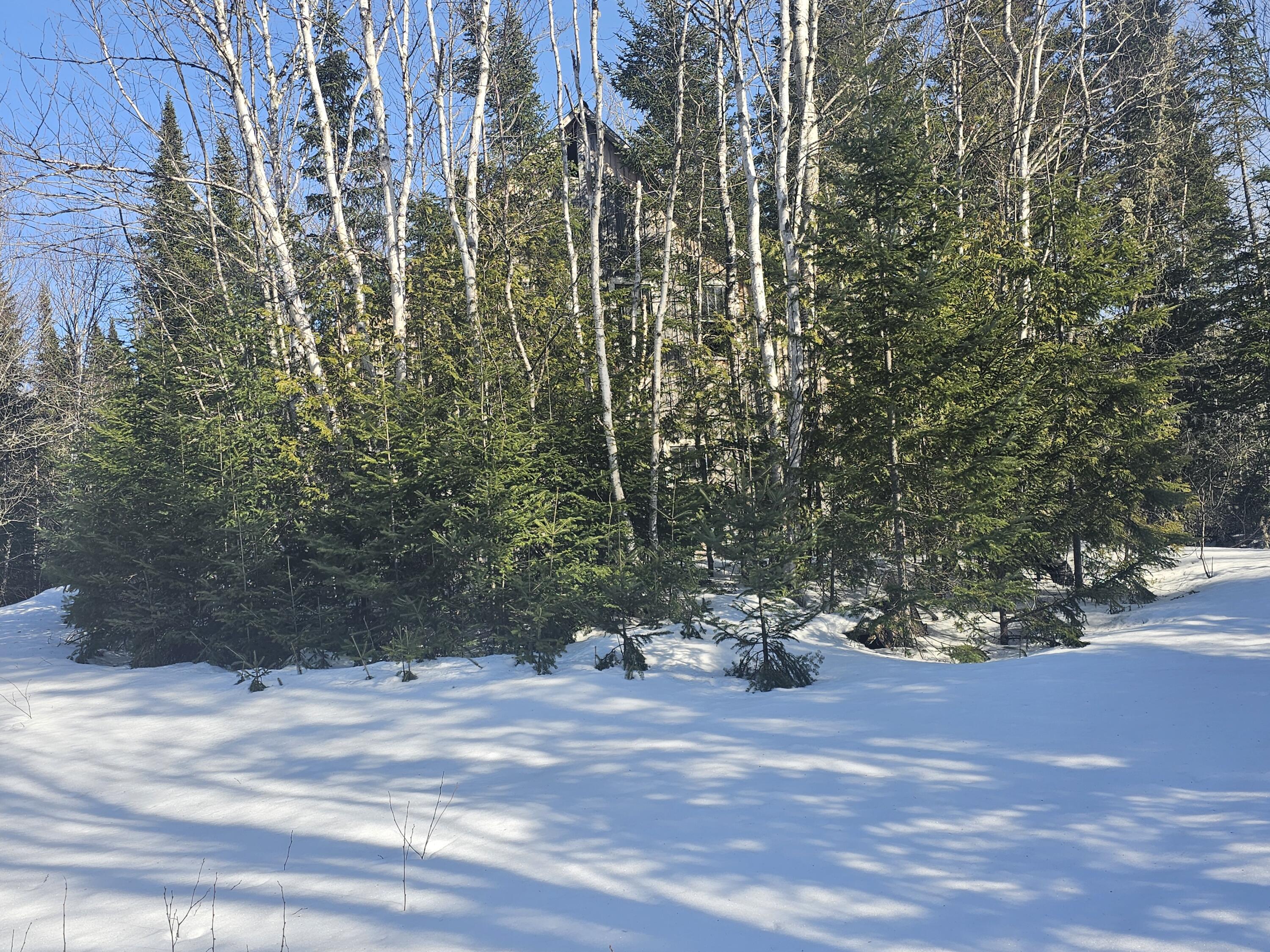 121 Ackley Pond Rd Mount Mount Chase, ME 04765 - Photo 13 of 53 20250313_154644