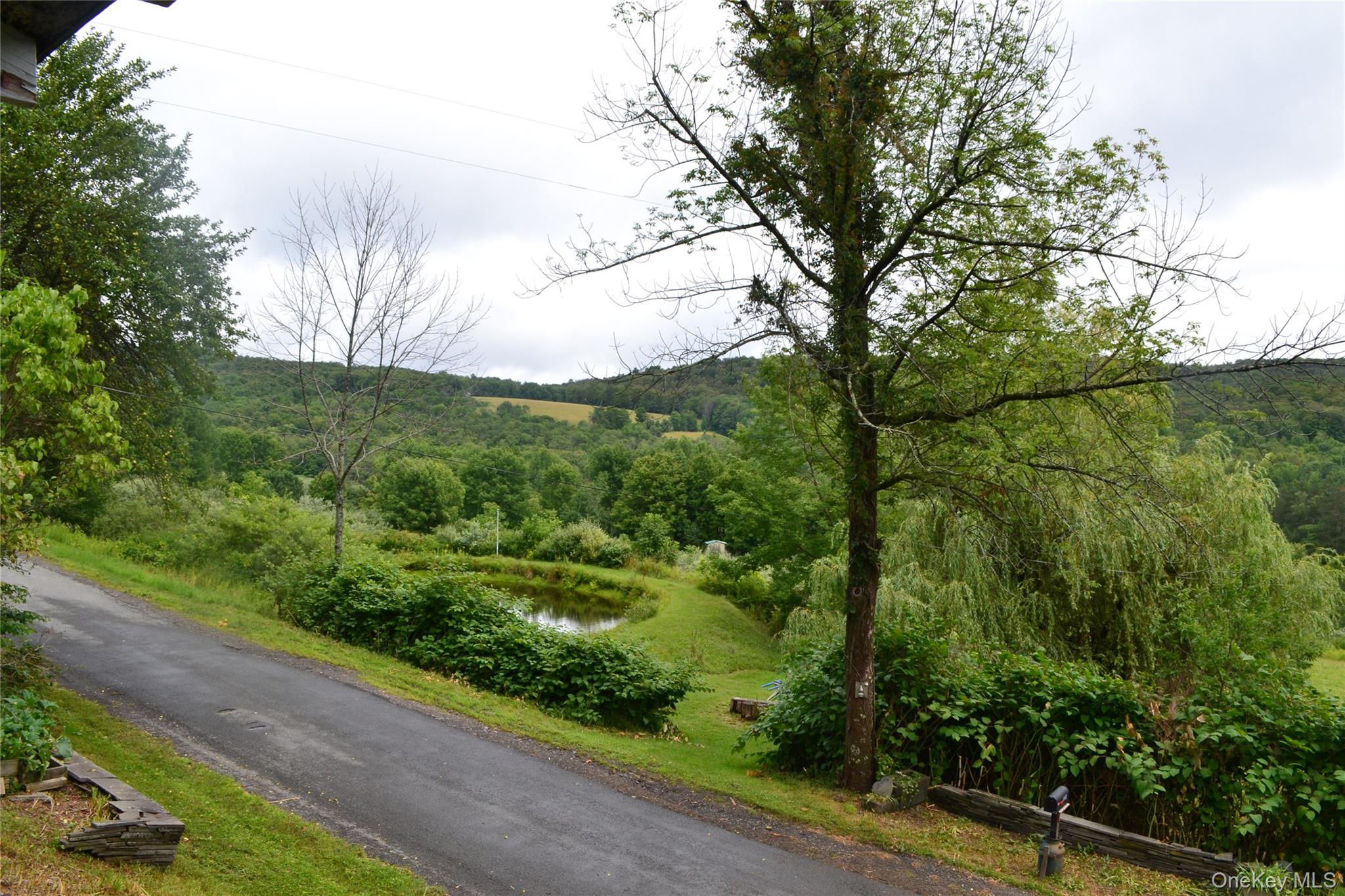 833 Biffar Road Long Eddy, NY 12760 - Photo 4 of 36 Long Range Views
