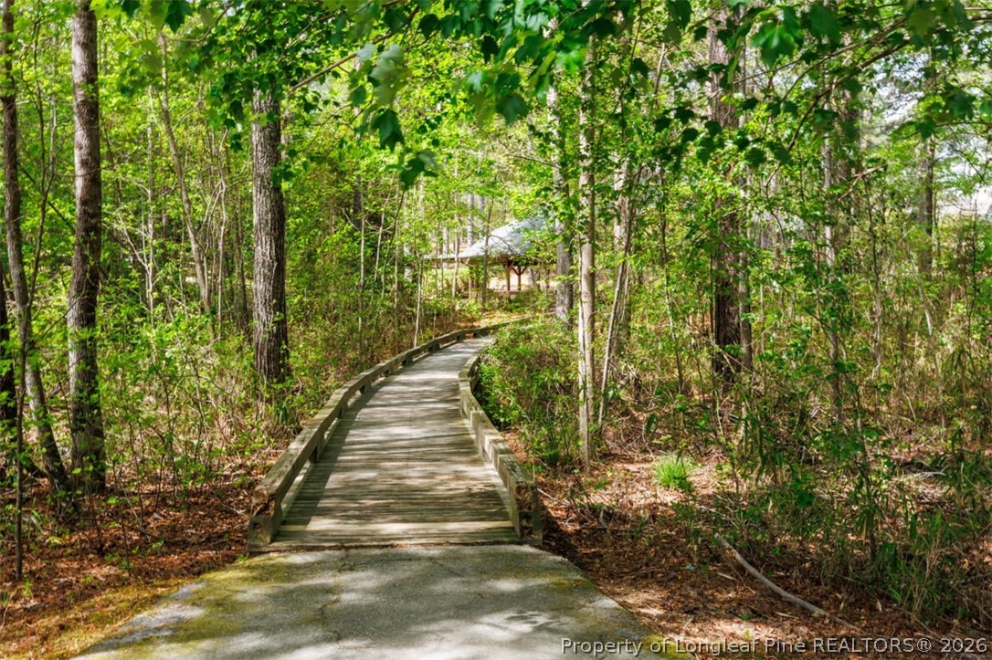 48 Valley Brook Lane Spring Lake, NC 28390 - Photo 49 of 50 a view of a yard with plants and large trees