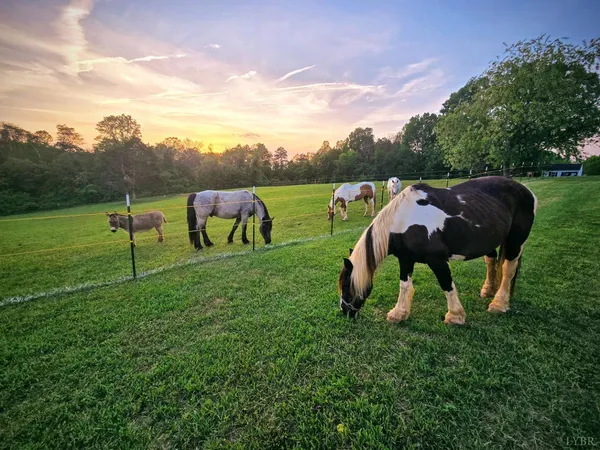 $1,499,000 | 1350 Country Estates Drive, Goode, VA 24556