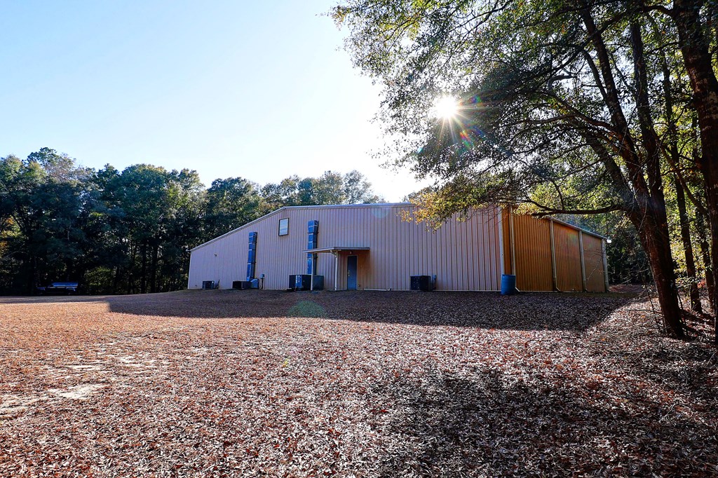 319 County Road Midland City, AL 36350 - Photo 26 of 31