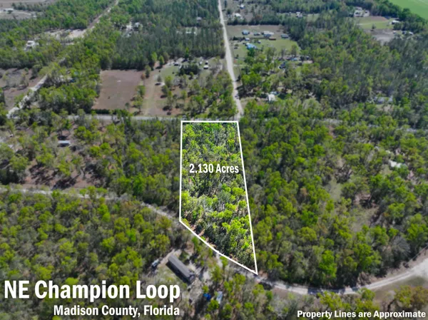 $42,500 | Xxx Northeast Champion Loop, Lee, FL 32059