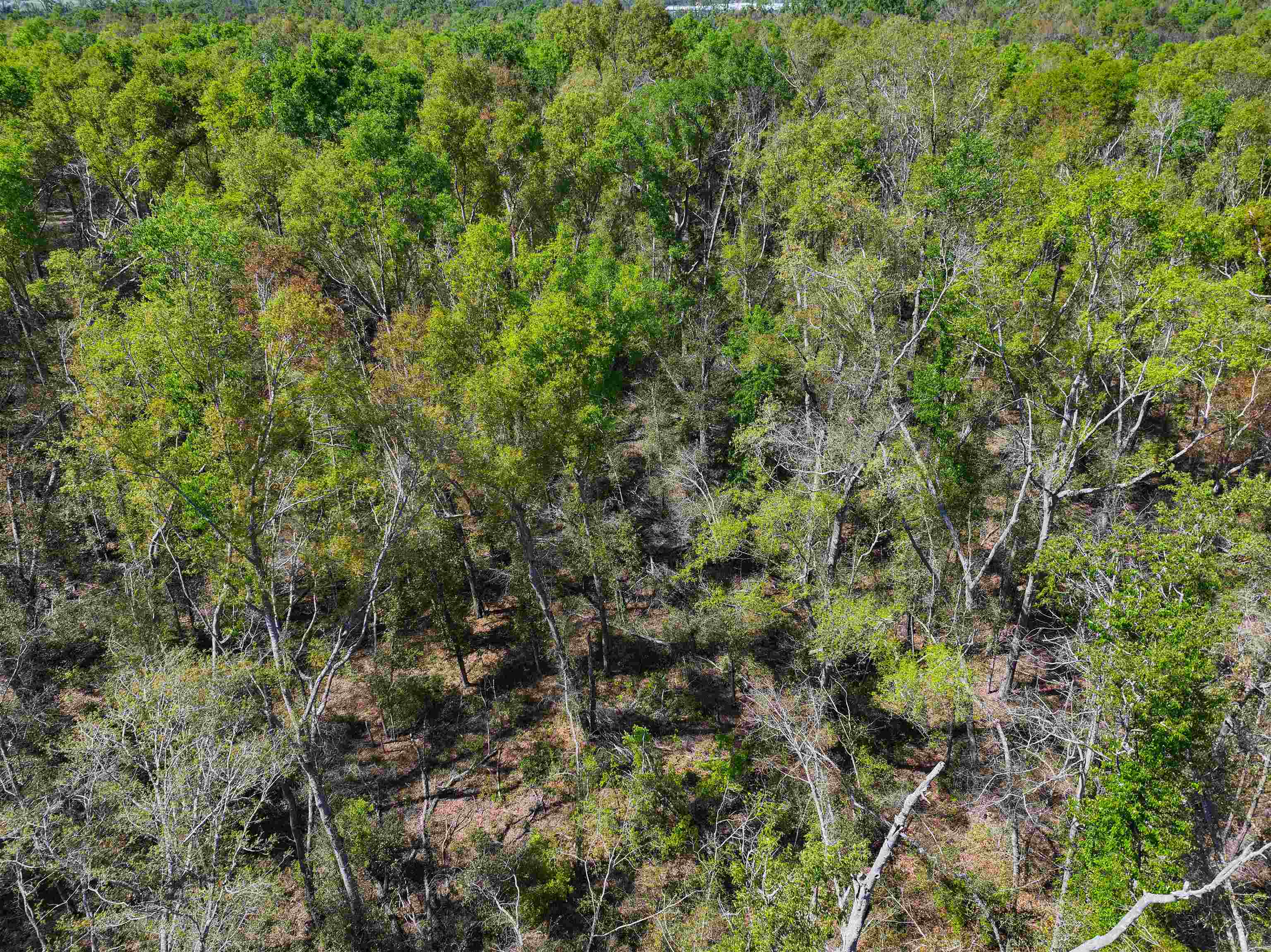Xxx Northeast Champion Loop Lee, FL 32059 - Photo 11 of 14