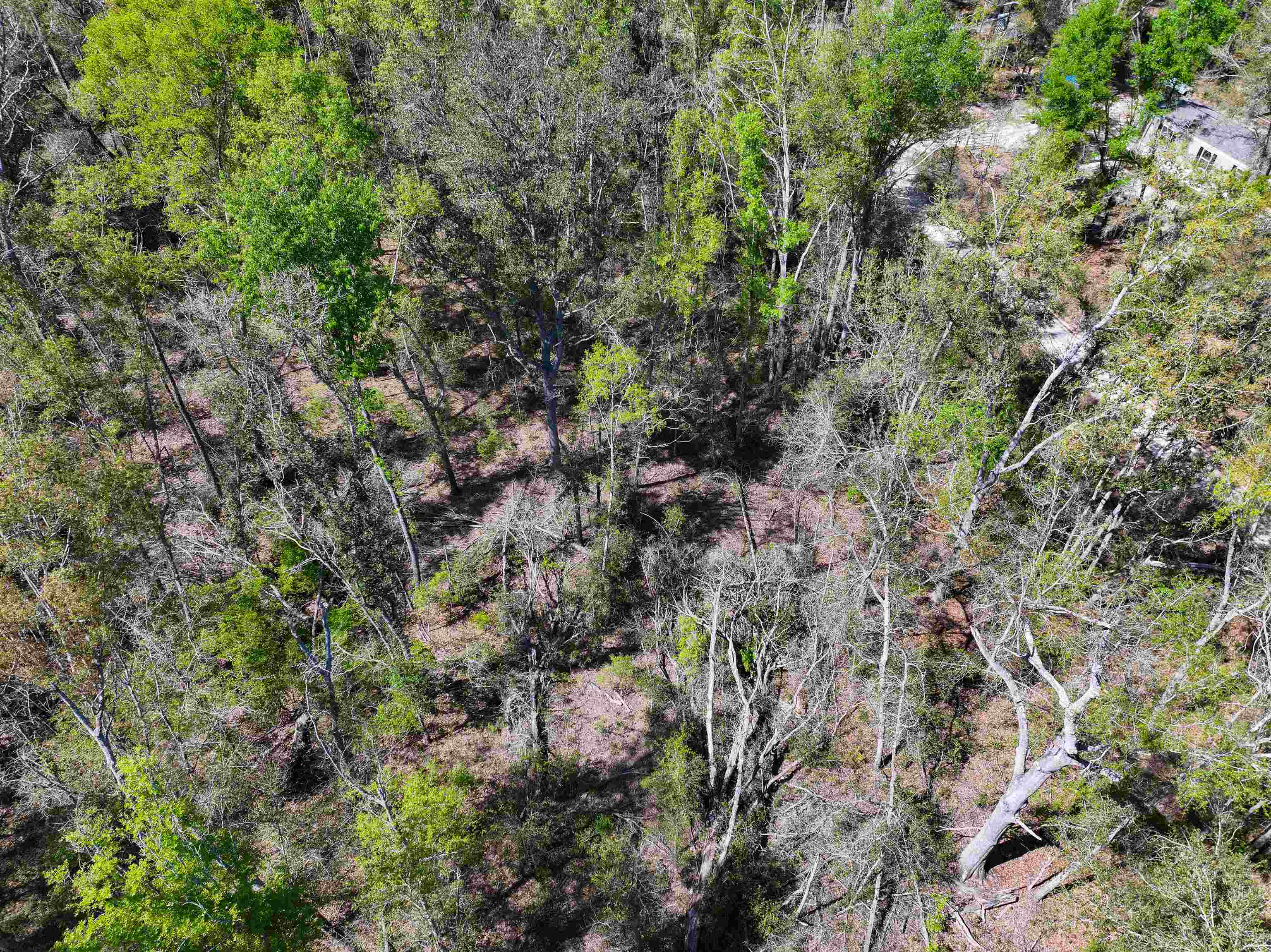 Xxx Northeast Champion Loop Lee, FL 32059 - Photo 12 of 14