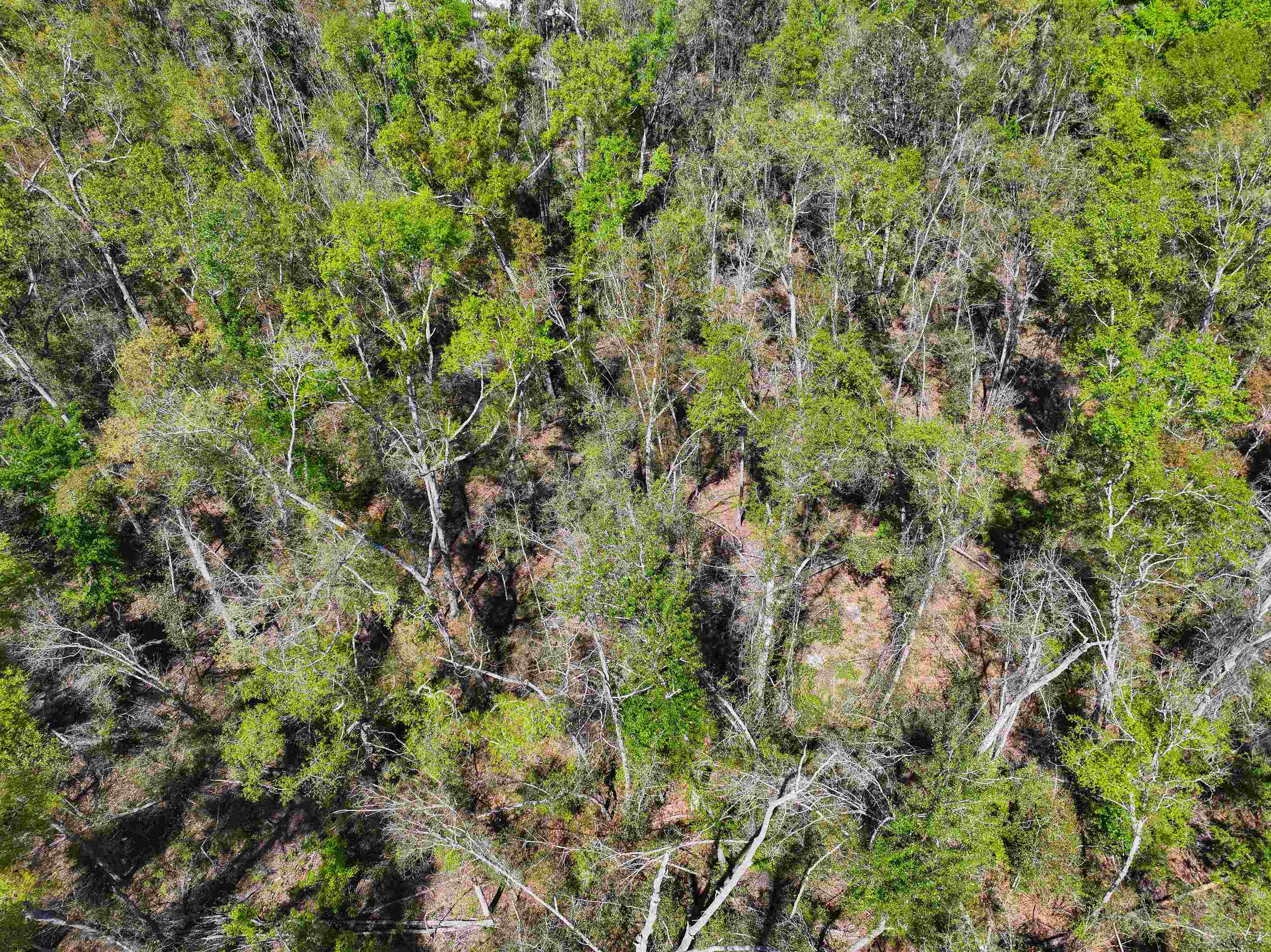 Xxx Northeast Champion Loop Lee, FL 32059 - Photo 13 of 14