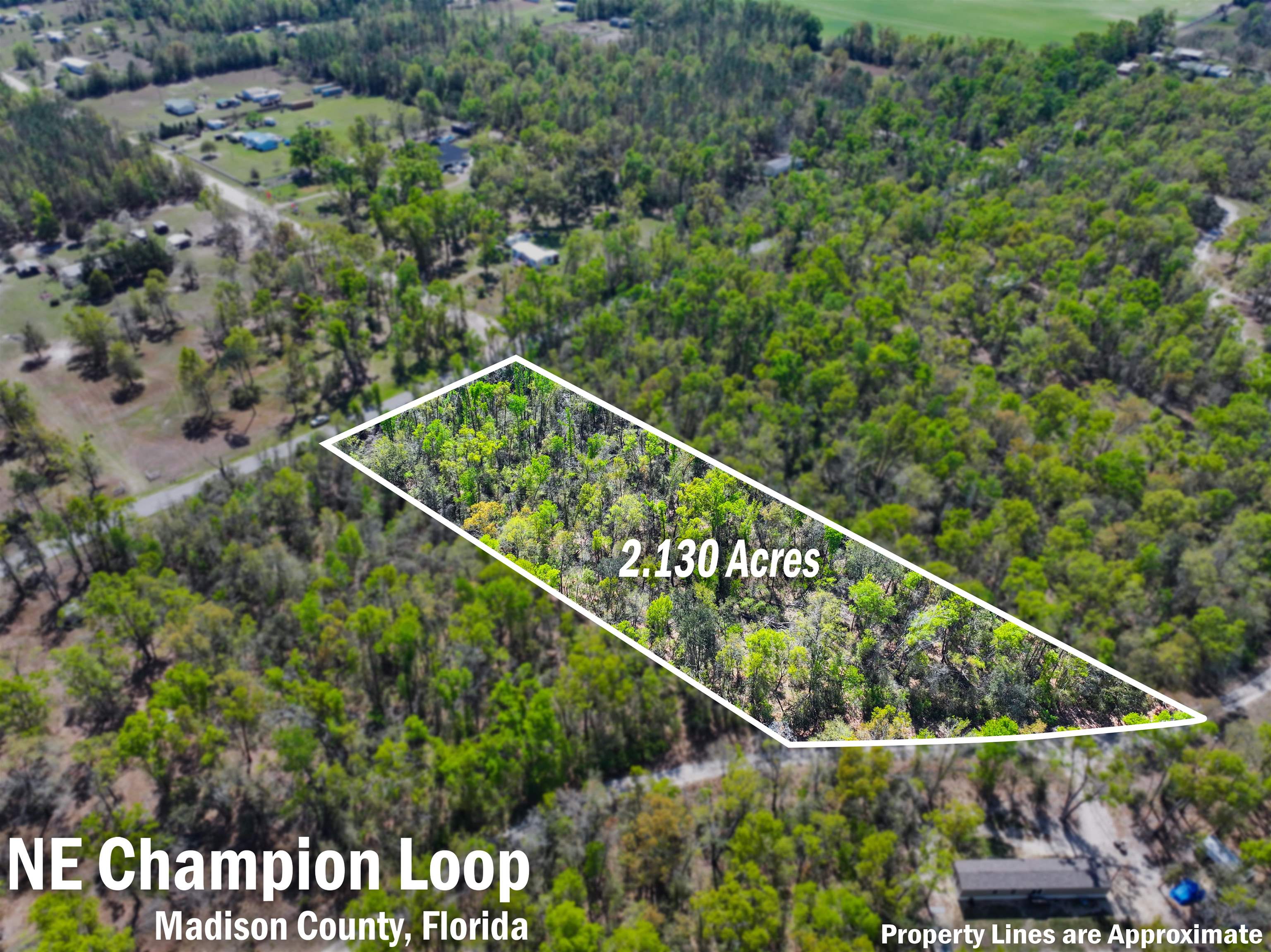Xxx Northeast Champion Loop Lee, FL 32059 - Photo 14 of 14