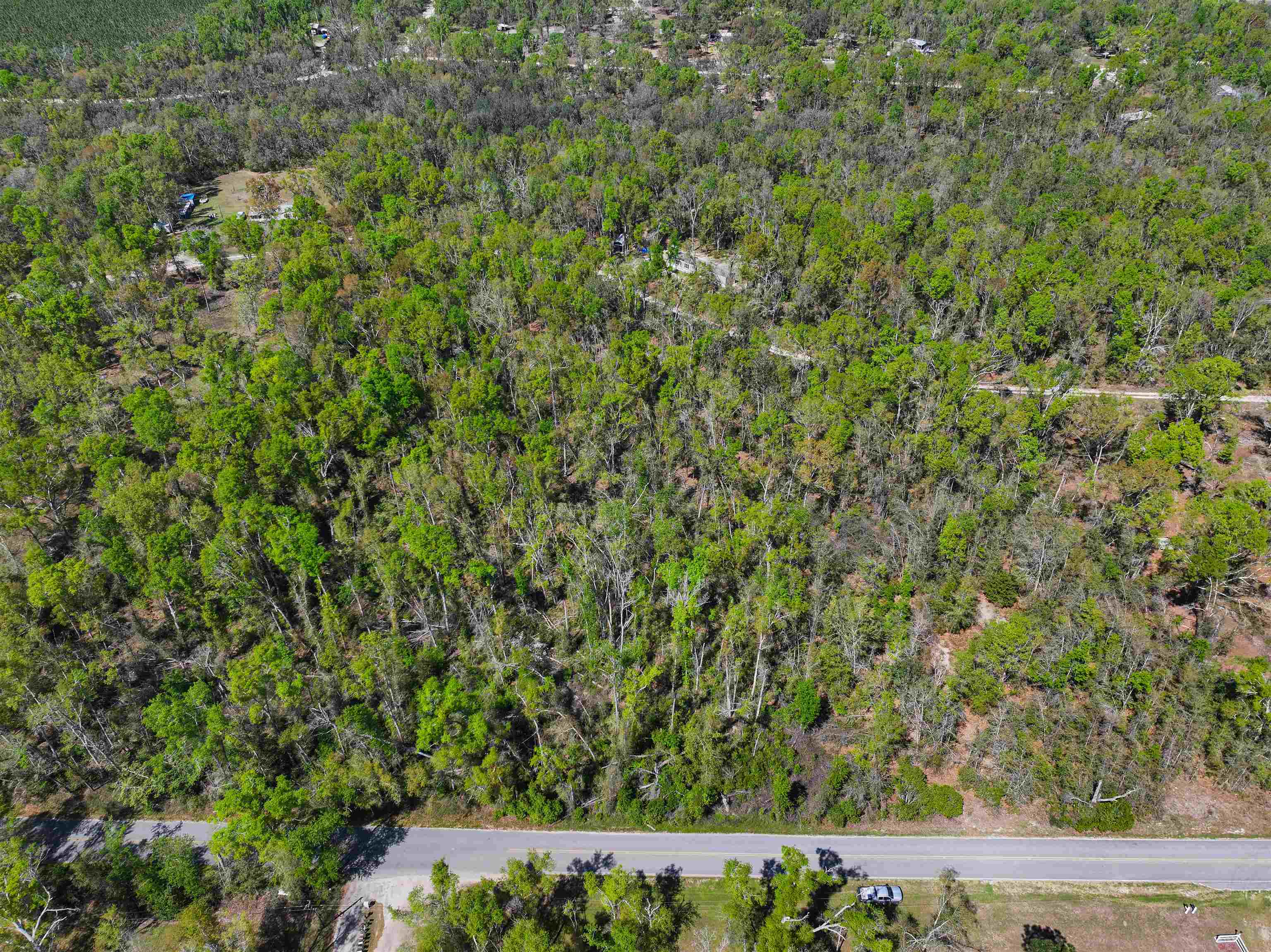 Xxx Northeast Champion Loop Lee, FL 32059 - Photo 4 of 14