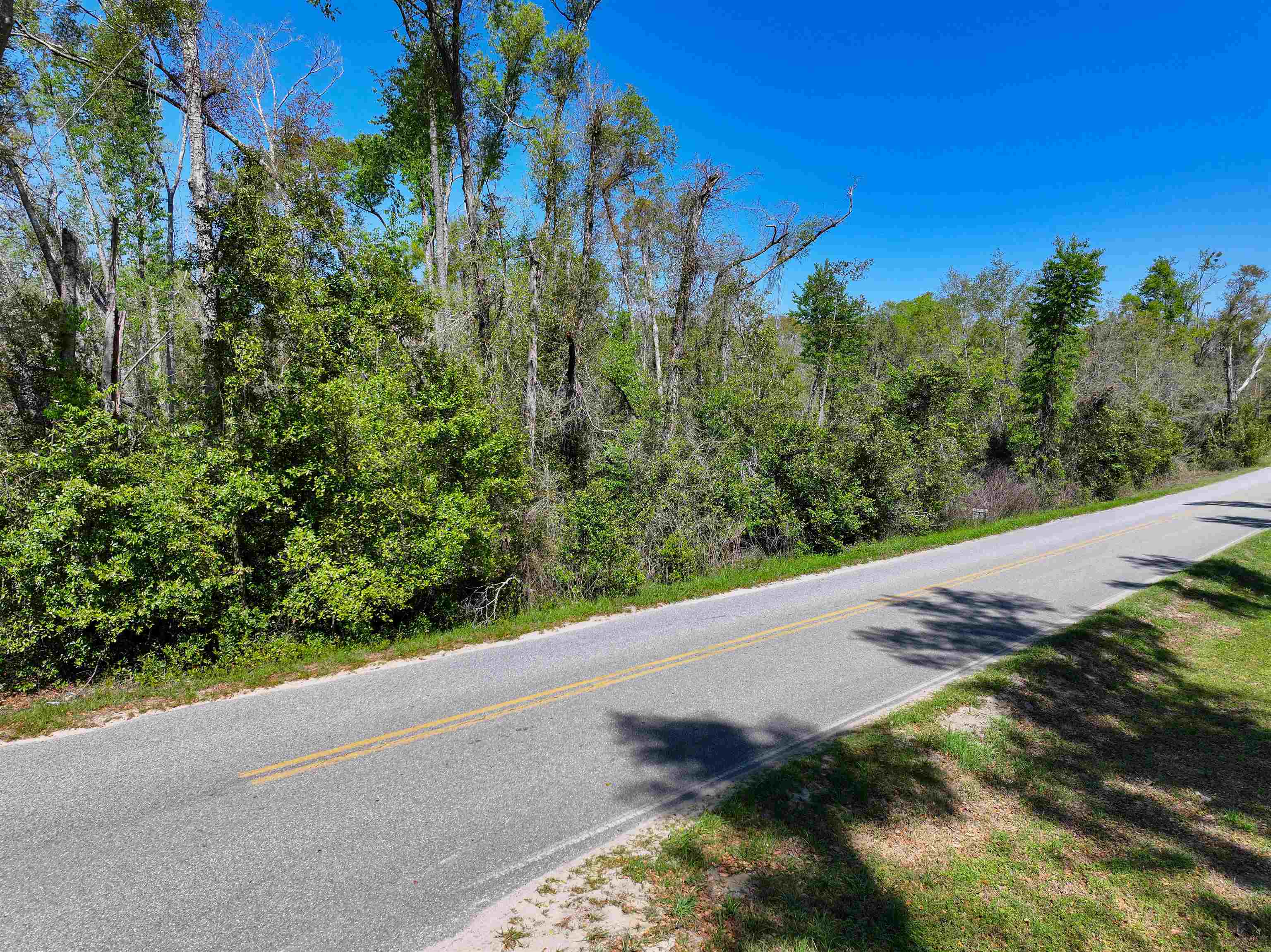 Xxx Northeast Champion Loop Lee, FL 32059 - Photo 5 of 14