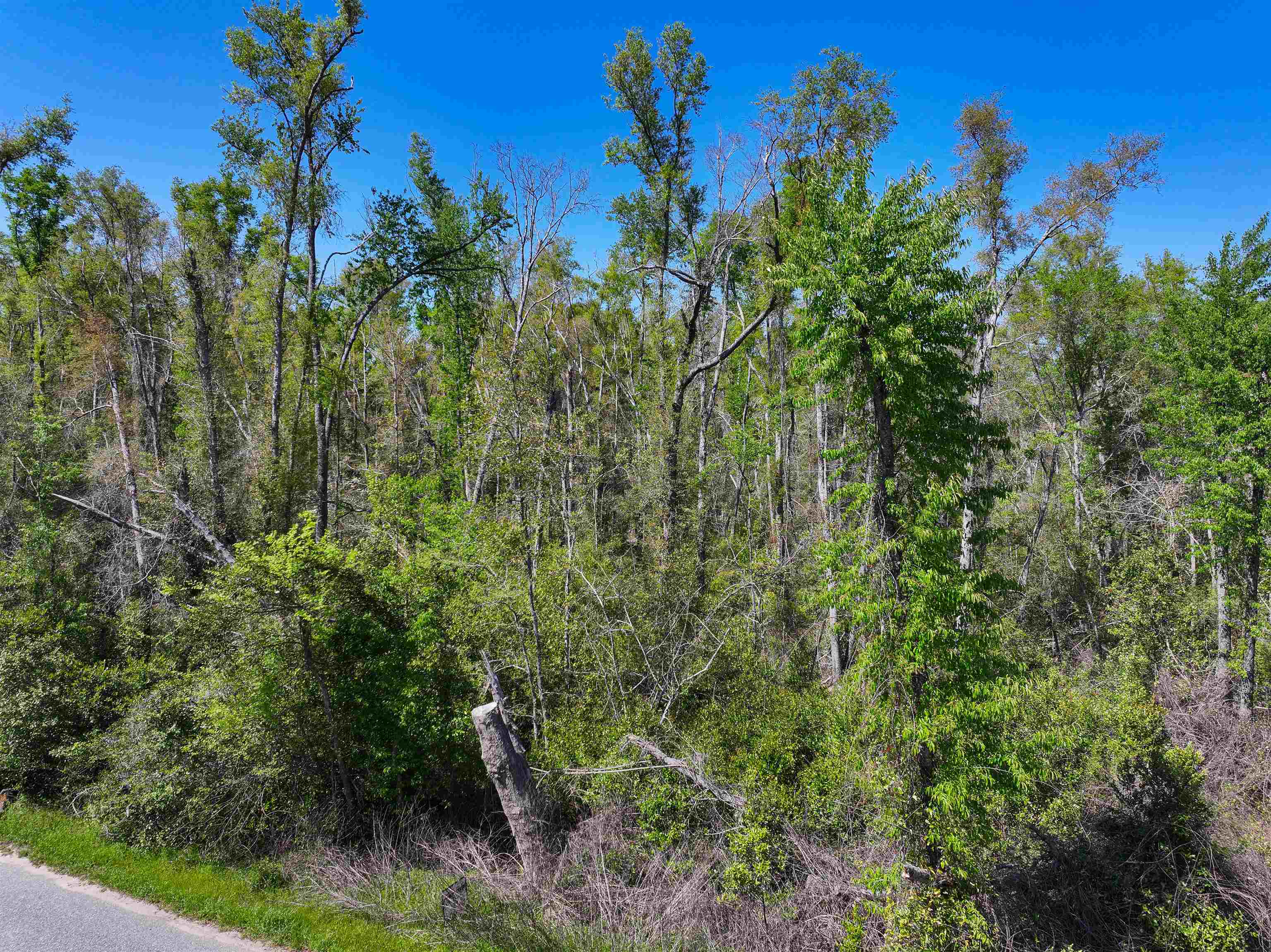 Xxx Northeast Champion Loop Lee, FL 32059 - Photo 6 of 14