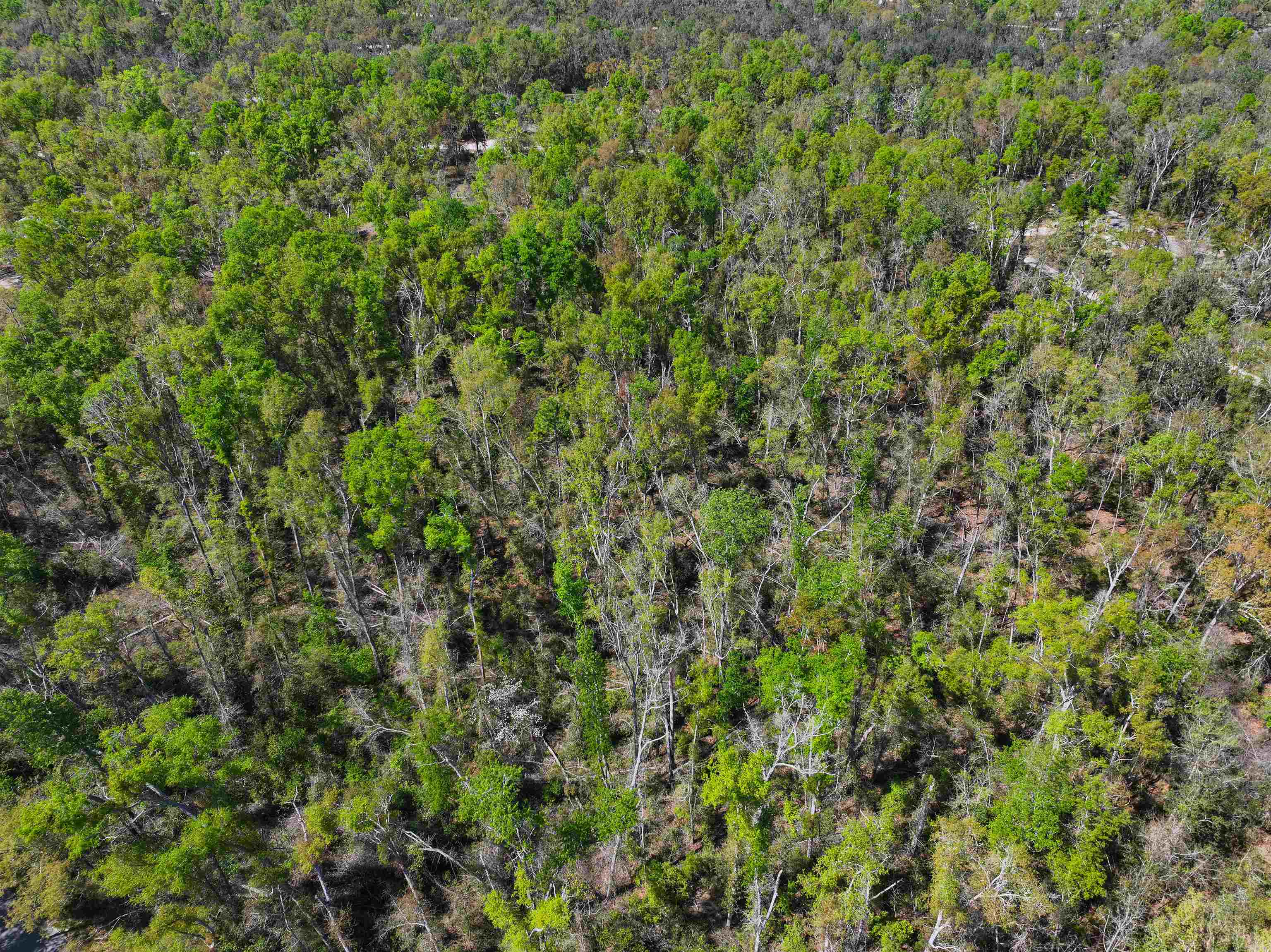 Xxx Northeast Champion Loop Lee, FL 32059 - Photo 8 of 14
