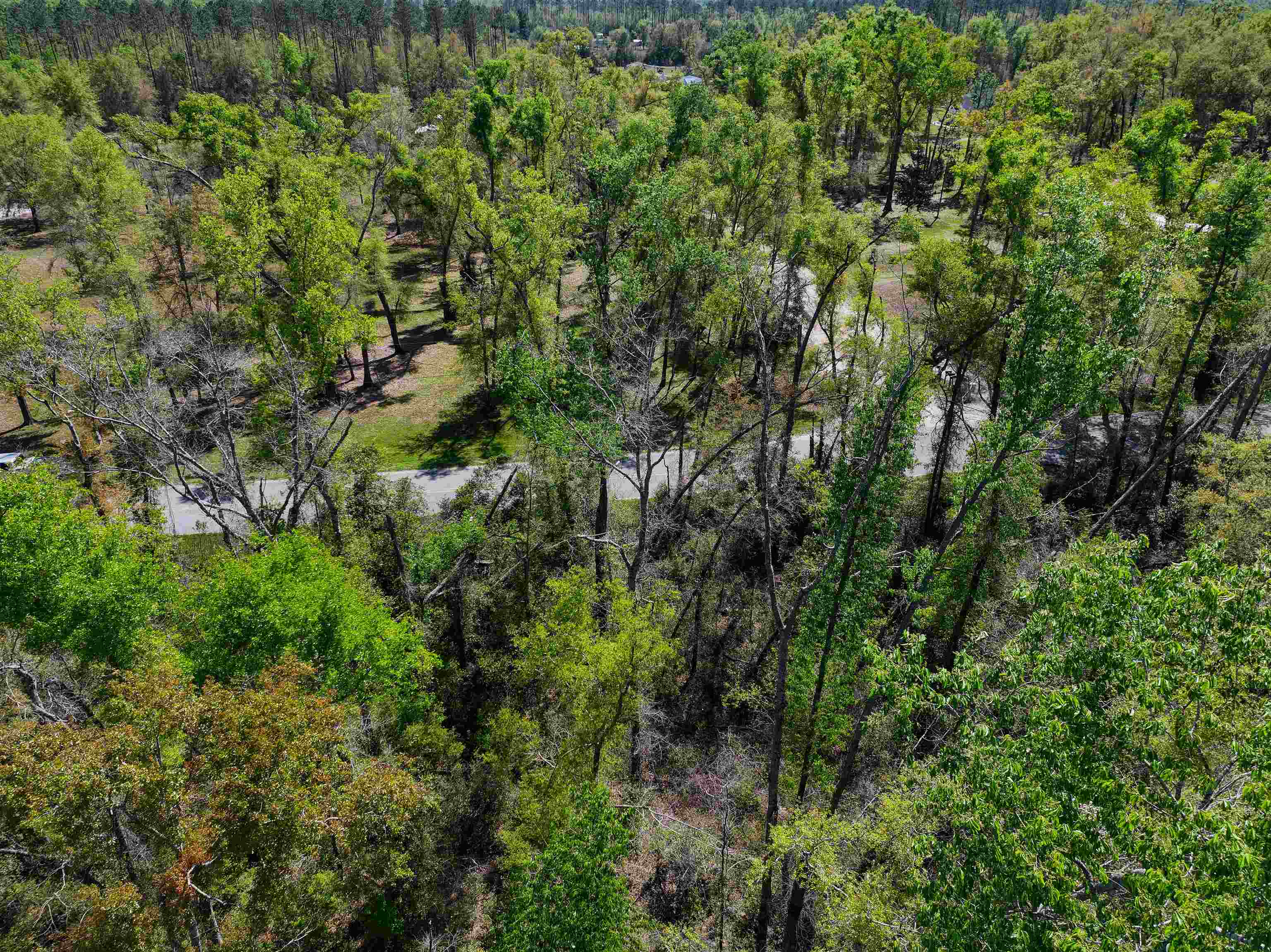 Xxx Northeast Champion Loop Lee, FL 32059 - Photo 9 of 14